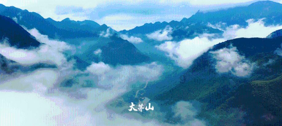 馒头蒸出来表面皱皱巴巴是什么原因